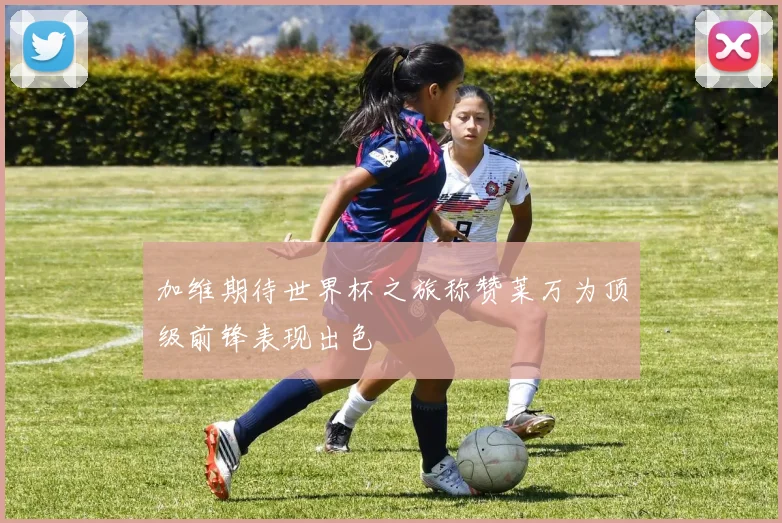加维期待世界杯之旅称赞莱万为顶级前锋表现出色