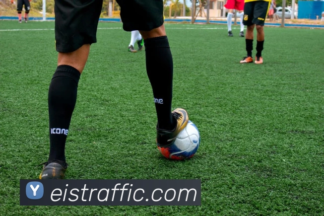 bsports官网入口平台生态图